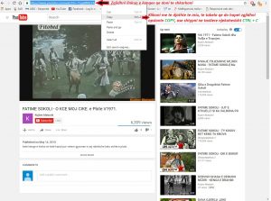 Si te shkarkoj video nga Youtube. Tutoriale shqip falas-1