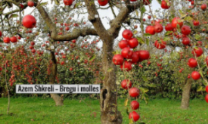 Analizë e poezisë "Bregu i Mollës" të Azem Shkrelit.