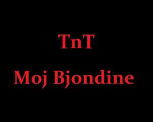 TnT - Bjondina Tekste kengesh shqip, Albanian Lyric