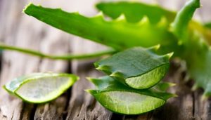Cfare ndodh nese pini lengun nga bima Aloe Vera. Shendet