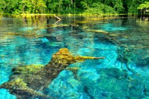ne Shqiperi Arsyet pse Shqiperia duhet te vizitohet per turizem