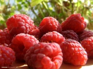 5 Ushqimet qe beni mire te hani per mengjes.tershera veze kos