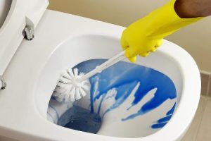 Menyre e thjeshte dhe e zgjuar sesi te pastroni WC ne shtepi.