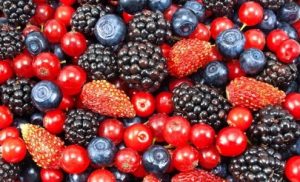 Vlerat ushqyese te frutave te pyllit. Shendet