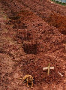 Fotografia eshte historia qe nuk dua ta shkruaj. Fotot me te bukura qe keni pare ndonjehere...