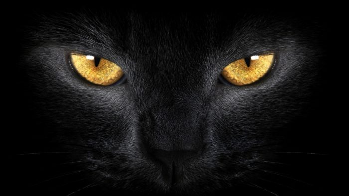Supersticionet, si linden dhe pse vazhdojme te besojme ne to. Psikologji