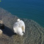 Shetitje-ne-natyre.-Album-fotografik.-5