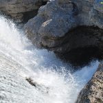 Shetitje-ne-natyre.-Album-fotografik.-9