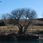 Shetitje-ne-natyre.-Album-fotografik.23
