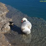Shetitje-ne-natyre.-Album-fotografik.24