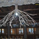 Shetitje-ne-natyre.-Album-fotografik.41