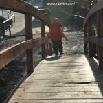 Shetitje-ne-natyre.-Album-fotografik.53