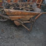 Shetitje-ne-natyre.-Album-fotografik.63