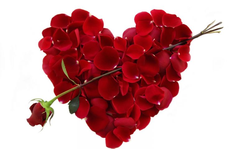 Mesazhe dhe urime per diten e Shen Valentinit. Si te shprehim ndjenjat.