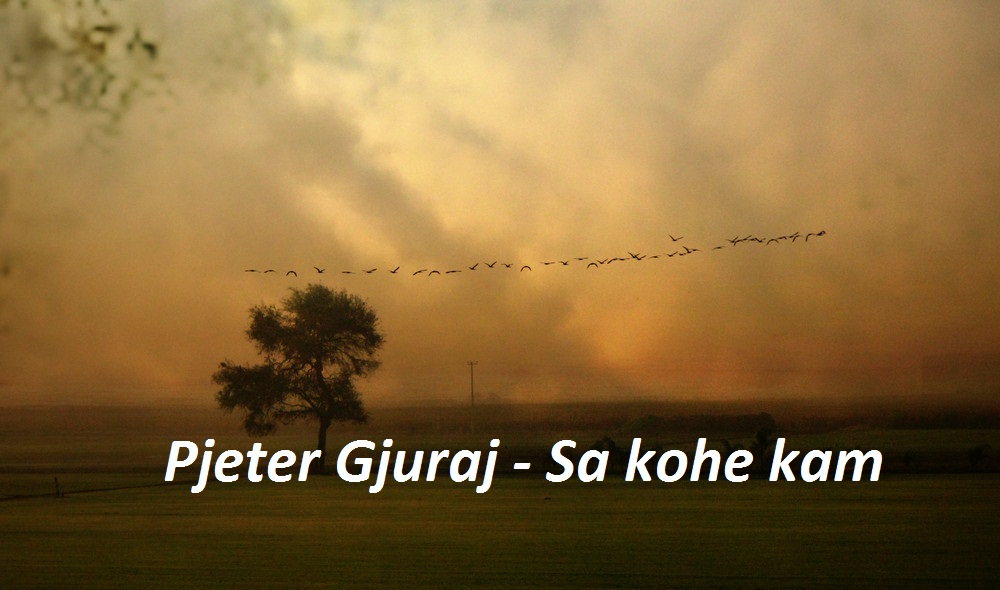 Pjeter Gjuraj - Sa kohe kam (Poezi) Vetem Drini , vendi im 1