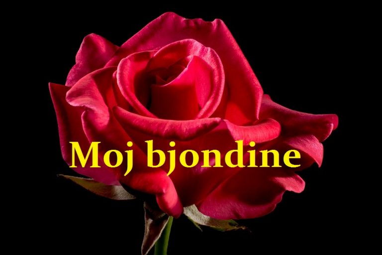 TnT - Bjondina Tekste kengesh shqip, Albanian Lyric 1