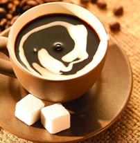 Rrezik! Asnjehere mos pini kafe me stomak bosh. organizem