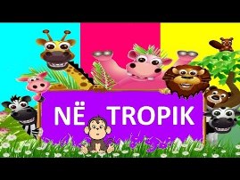 Kenge Per Femije - Ne Tropik nje gjiraf me rroba banjo dhe majmuni simpatik Ne tropik o ne tropik po kercenin makarena Edhe femijet pau pa, papagalli