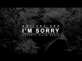 I'm Sorry - Arilena Ara (Lyrics)