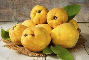 Perfitimet shendetsore nga mbreti i frutave vjeshtore ftoi.
