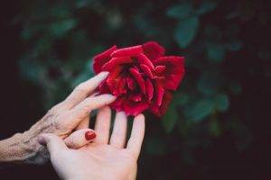 Disa sjellje qe e zgjasin jeten e njeriut me me shume se 10 vjet.