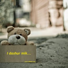 I dashur mik. Monolog. Malli me ka marre
