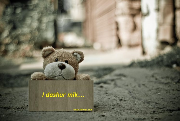 I dashur mik. Monolog. Malli me ka marre