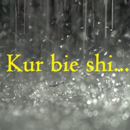 Kur shiu bie...(Histori dashurie) perqafim