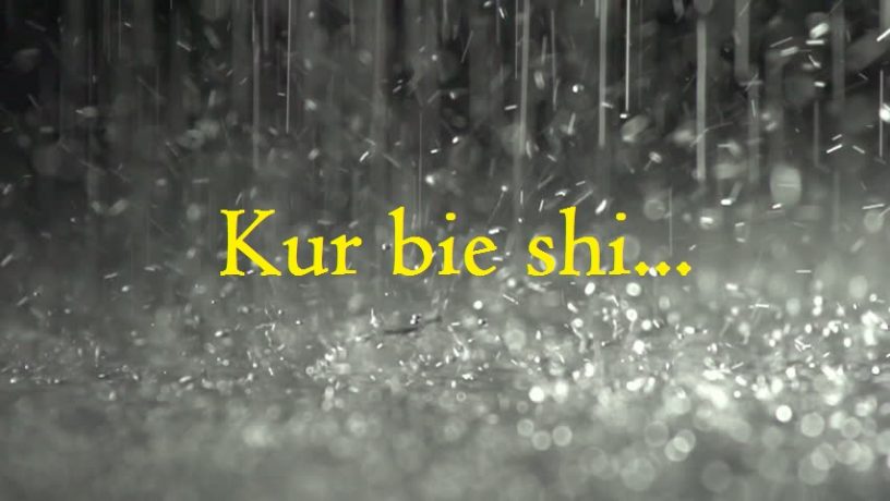 Kur shiu bie...(Histori dashurie) perqafim